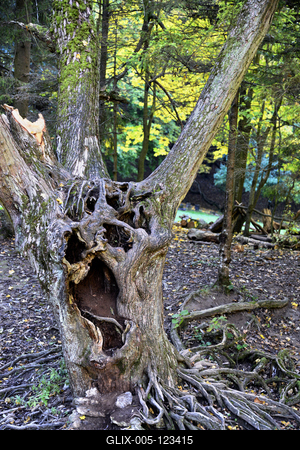 Szalajka-völgy-stock-foto