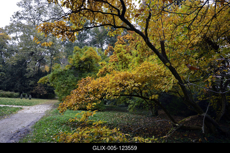 Szelestei Arborétum-stock-foto