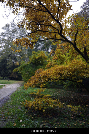 Szelestei Arborétum-stock-foto