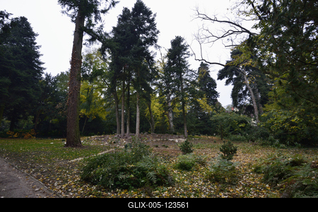 Szelestei Arborétum-stock-foto