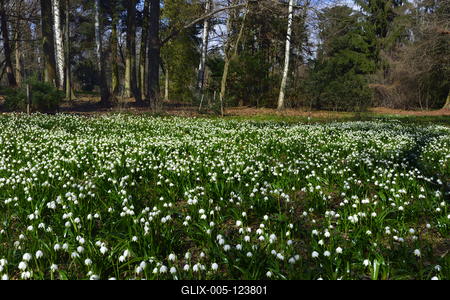 Kámoni Arborétum és Ökoturisztikai Központ-stock-foto