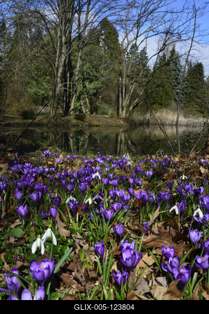 Kámoni Arborétum és Ökoturisztikai Központ-stock-foto