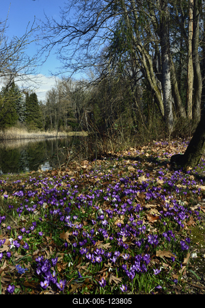 Kámoni Arborétum és Ökoturisztikai Központ-stock-foto