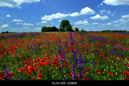 Alföldi tanyavilág-stock-foto