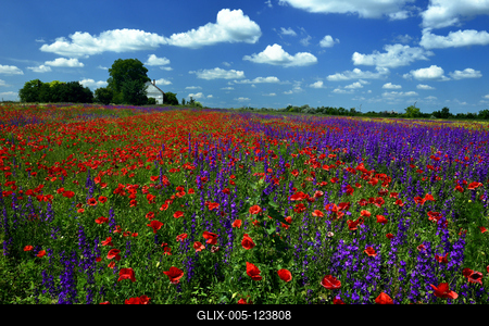 Alföldi tanyavilág-stock-foto