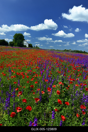 Alföldi tanyavilág-stock-foto