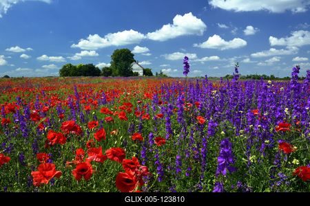 Alföldi tanyavilág-stock-foto