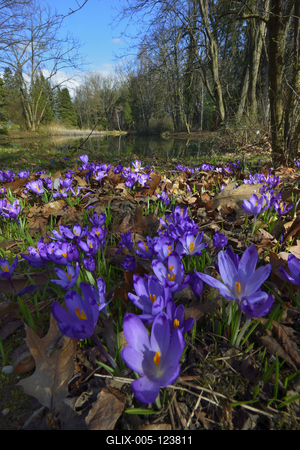 Kámoni Arborétum és Ökoturisztikai Központ-stock-foto