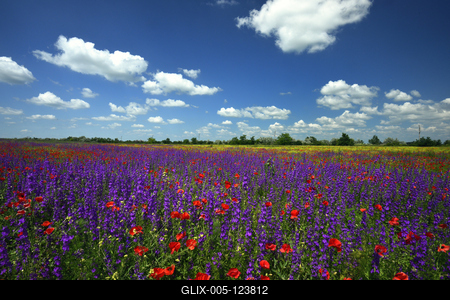 Alföldi tanyavilág-stock-foto