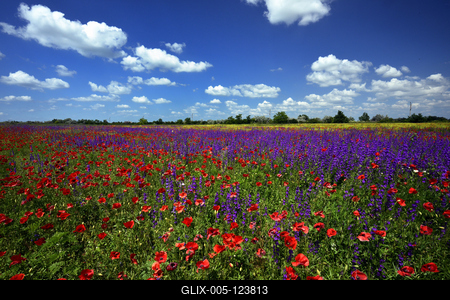 Alföldi tanyavilág-stock-foto