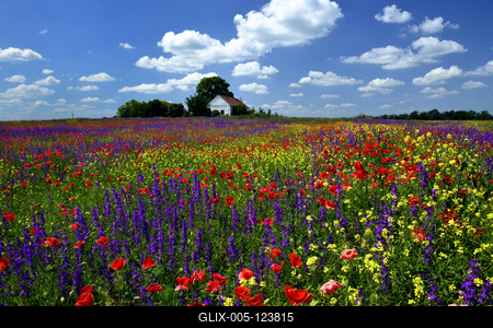 Alföldi tanyavilág-stock-foto