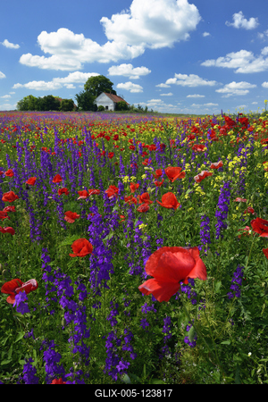 Alföldi tanyavilág-stock-foto