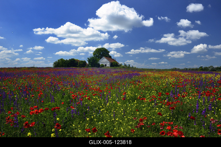 Alföldi tanyavilág-stock-foto