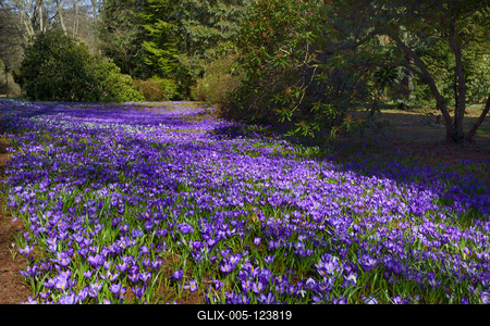 Kámoni Arborétum és Ökoturisztikai Központ-stock-foto