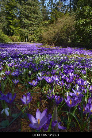 Kámoni Arborétum és Ökoturisztikai Központ-stock-foto
