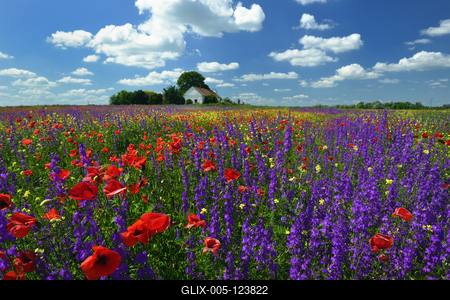 Alföldi tanyavilág-stock-foto