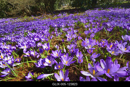 Kámoni Arborétum és Ökoturisztikai Központ-stock-foto