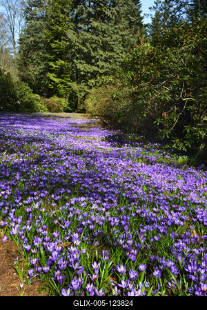 Kámoni Arborétum és Ökoturisztikai Központ-stock-foto