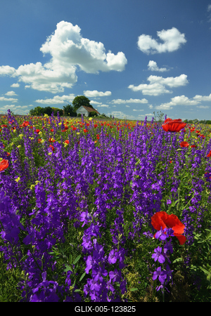 Alföldi tanyavilág-stock-foto