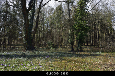 Kámoni Arborétum és Ökoturisztikai Központ-stock-foto