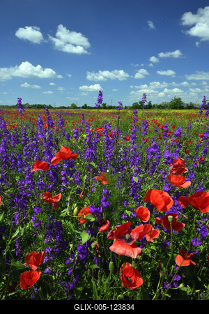 Alföldi tanyavilág-stock-foto