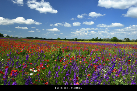 Alföldi tanyavilág-stock-foto