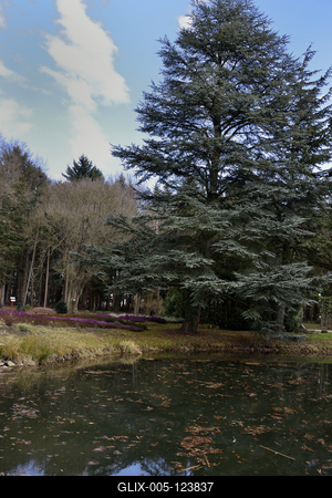 Kámoni Arborétum és Ökoturisztikai Központ-stock-foto