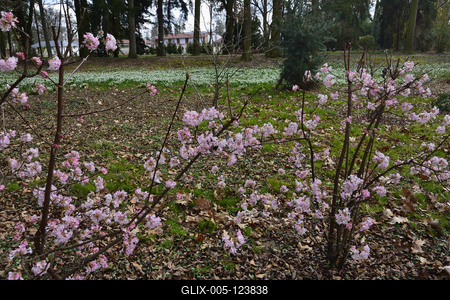 Kámoni Arborétum és Ökoturisztikai Központ-stock-foto