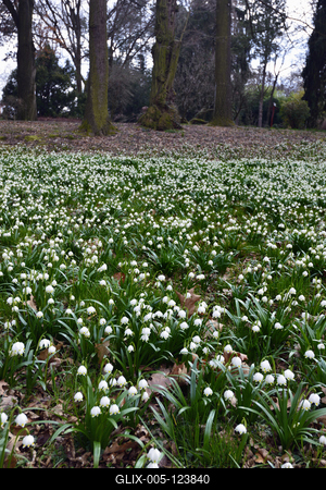 Kámoni Arborétum és Ökoturisztikai Központ-stock-foto