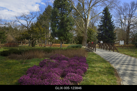 Kámoni Arborétum és Ökoturisztikai Központ-stock-foto
