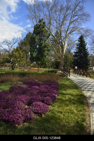 Kámoni Arborétum és Ökoturisztikai Központ-stock-foto