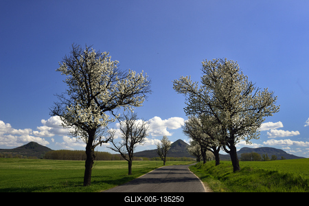 Balaton-felvidék-stock-foto