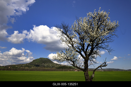 Balaton-felvidék-stock-foto