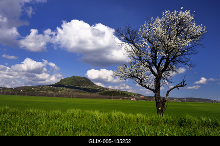 Balaton-felvidék-stock-foto