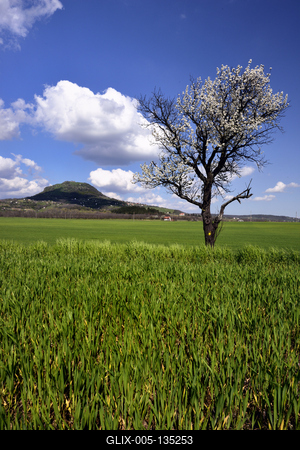 Balaton-felvidék-stock-foto