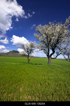 Balaton-felvidék-stock-foto