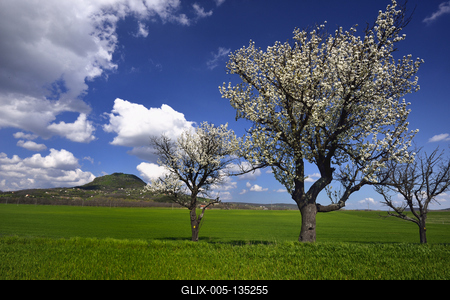Balaton-felvidék-stock-foto