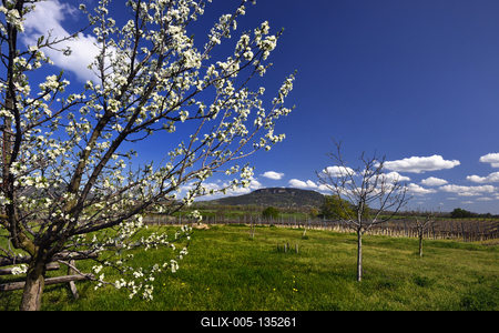 Balaton-felvidék-stock-foto