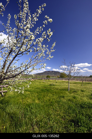 Balaton-felvidék-stock-foto