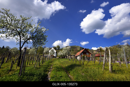 Balaton-felvidék-stock-foto
