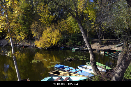 Tőserdő-stock-foto