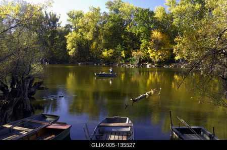 Tőserdő-stock-foto