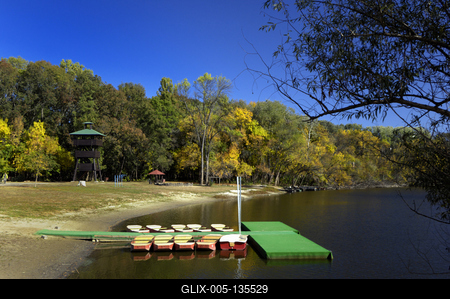 Tőserdő-stock-foto
