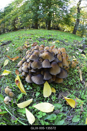 Vácrátót-stock-foto