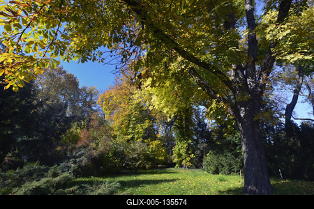 Vácrátót-stock-foto