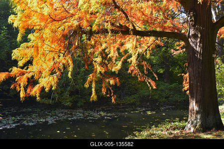 Vácrátót-stock-foto