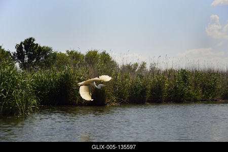 Tisza-tó-stock-foto