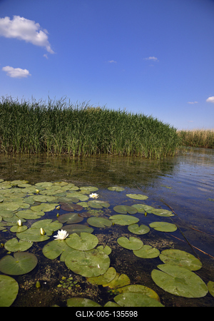 Tisza-tó-stock-foto