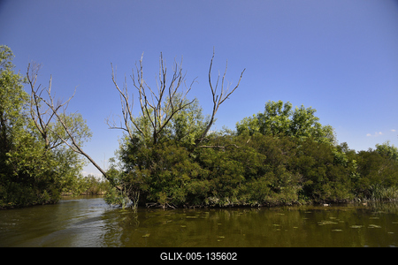 Tisza-tó-stock-foto