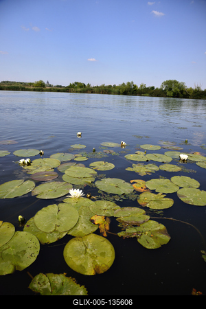 Tisza-tó-stock-foto